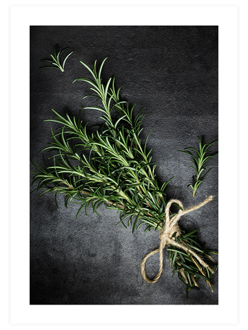 Biberiye - Art Print