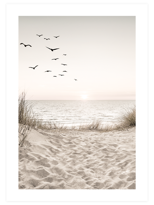Relaxation Poster Seti