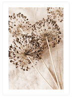 Warm Touch - Poster Seti Trio