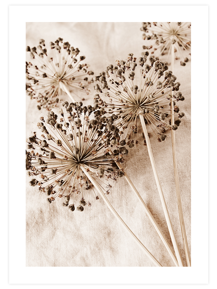 Warm Touch - Poster Seti Trio