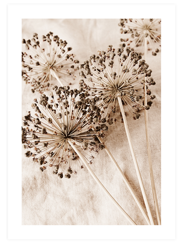 Warm Touch - Poster Seti Trio
