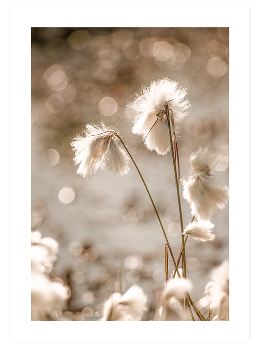 Happiness in Beige Poster Seti