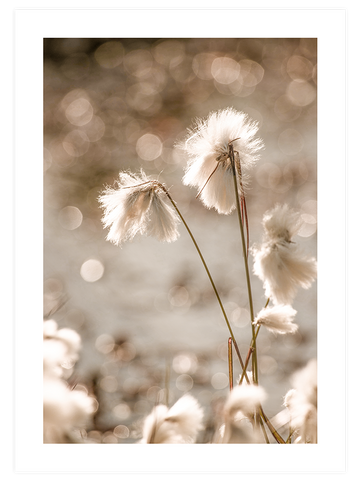 Happiness in Beige Poster Seti