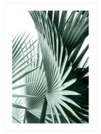 Green Elegance Poster Seti