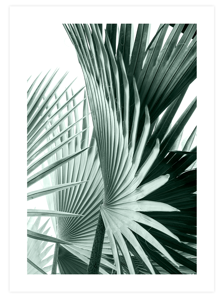 Green Elegance Poster Seti