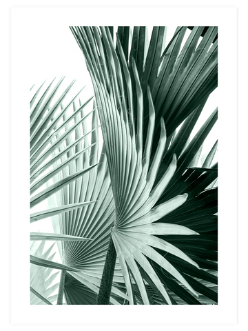 Green Elegance Poster Seti