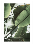 Green & Beige Synergy - Poster Seti