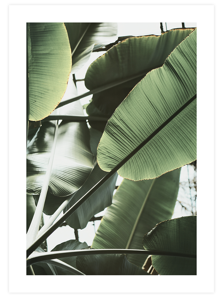 Green & Beige Synergy - Poster Seti