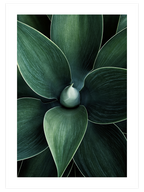 Doğanın Sanatı - Art Print