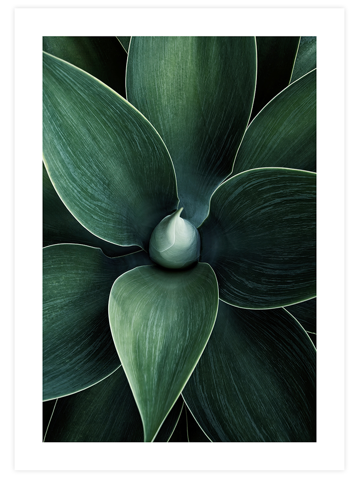 Doğanın Sanatı - Art Print