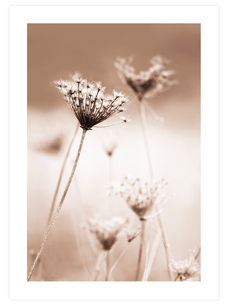 Naturally Beautiful Poster Seti