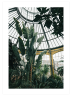 Tropikal Sera - Art Print