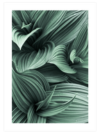 Green Beauty Poster Seti