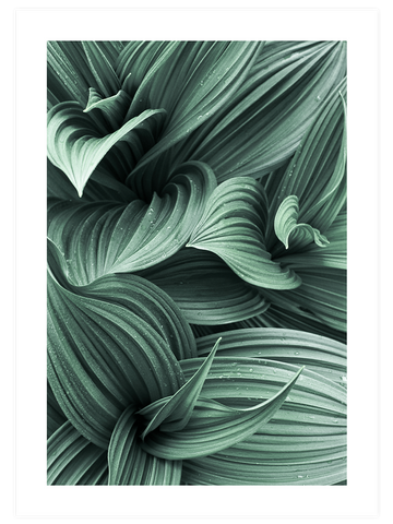Green Beauty Poster Seti