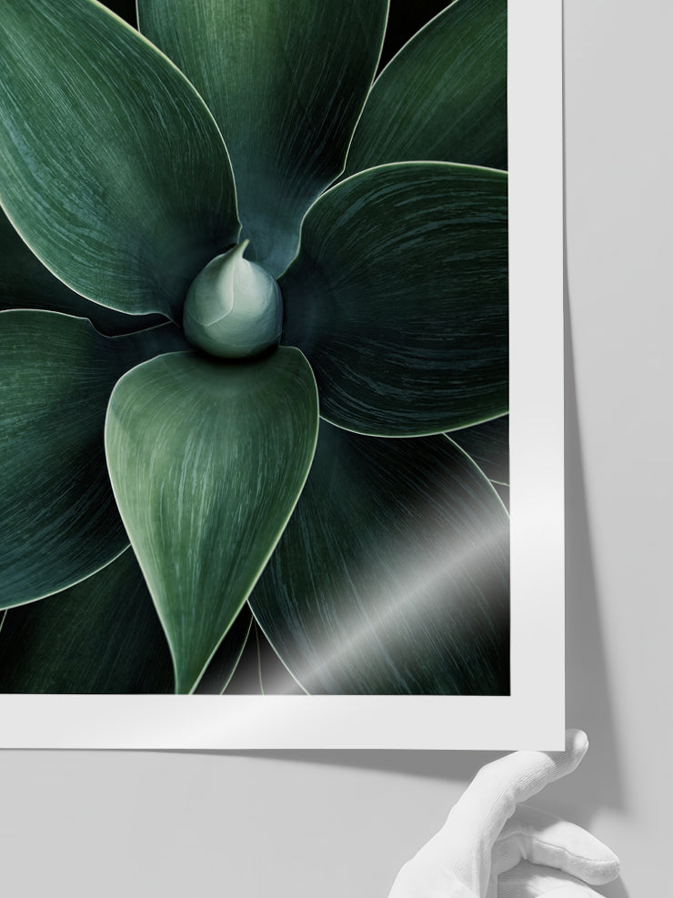 Doğanın Sanatı - Art Print