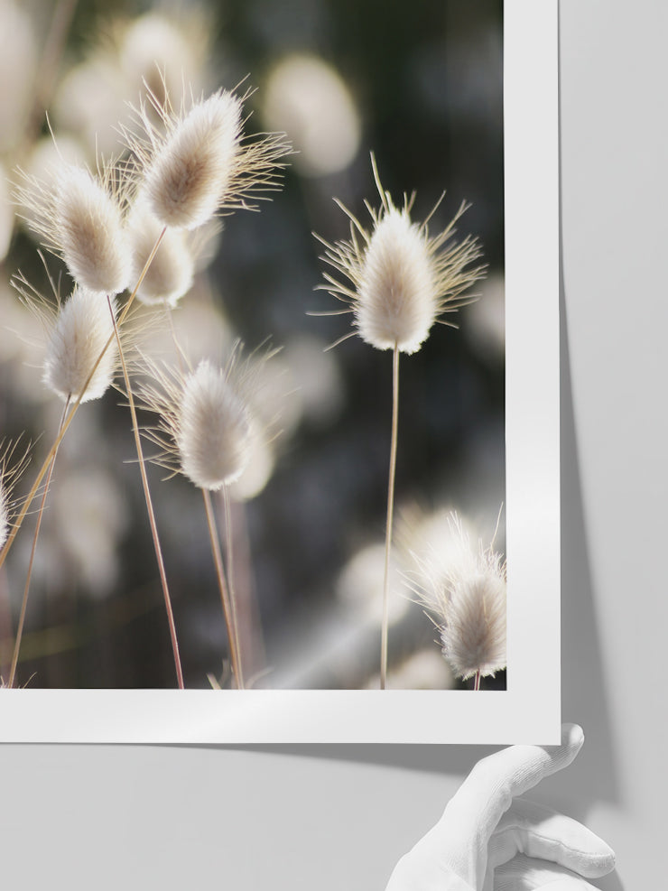 Sessizliğin Güzelliği - Art Print