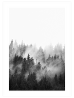 Siyah Beyaz Orman - Art Print