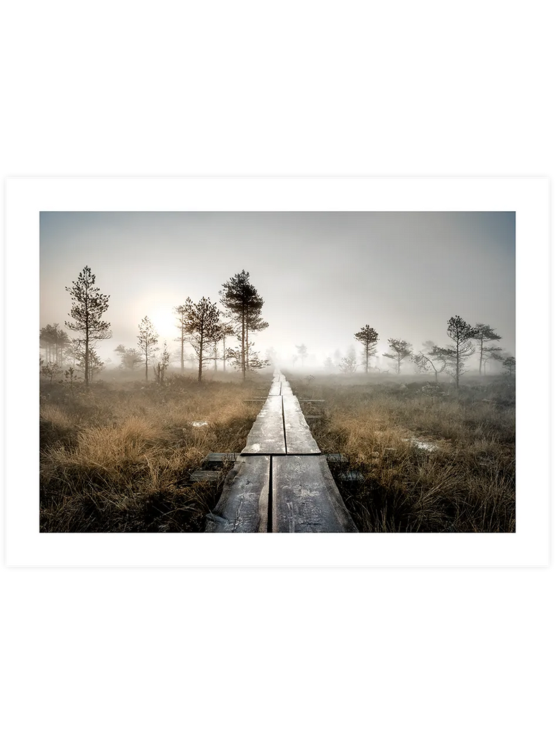 Brume Matinale N3 - Art Print