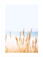 Abundance - Poster Seti Trio