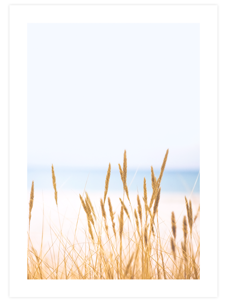 Abundance - Poster Seti Trio