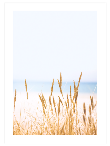 Abundance - Poster Seti Trio