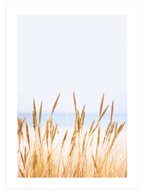 Abundance - Poster Seti Trio