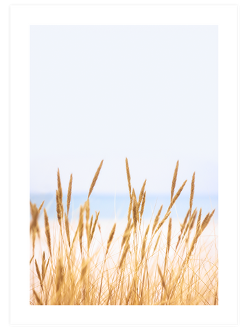 Abundance - Poster Seti Trio