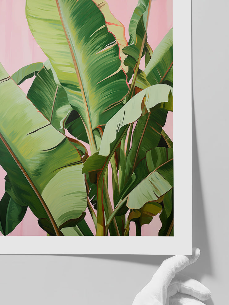 Muz Ağacı Yaprakları - Art Print