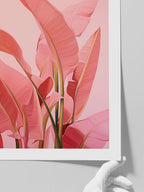 Pembe Muz Ağacı - Art Print