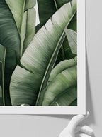 Muz Ağacı - Art Print