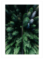 Naturally Green Poster Seti