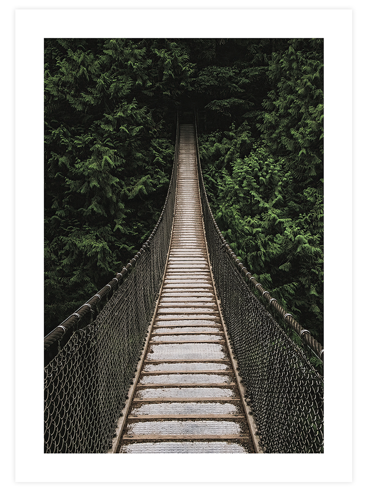 Asma Köprü - Art Print