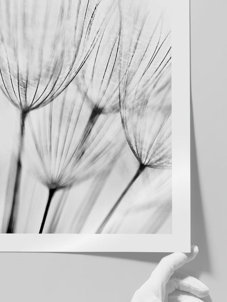 Delicatesse - Art Print