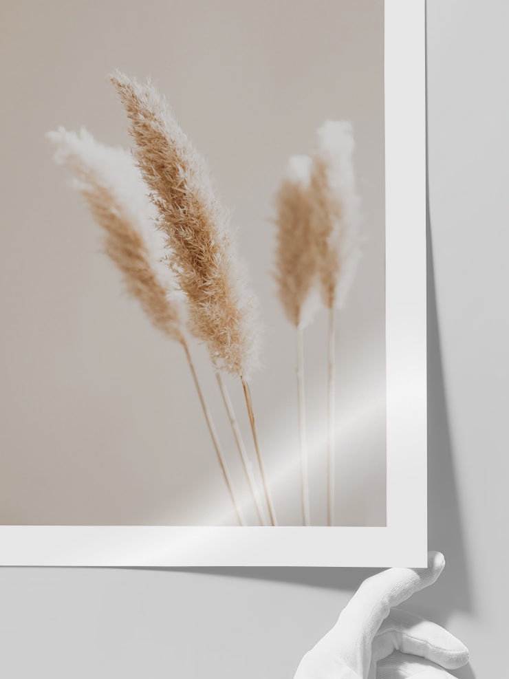 Silvestre N3 - Art Print