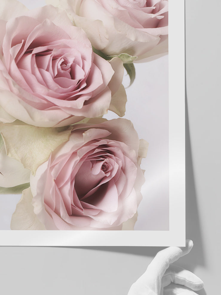 Gül Demeti N1 - Art Print