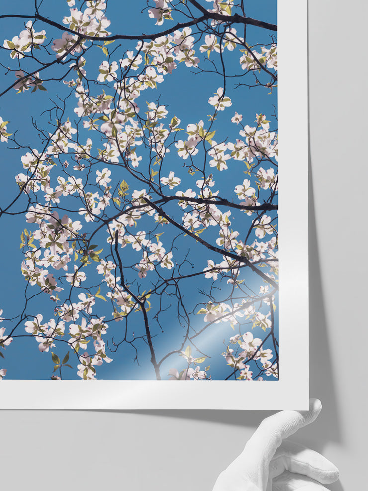 Badem Ağacı - Art Print