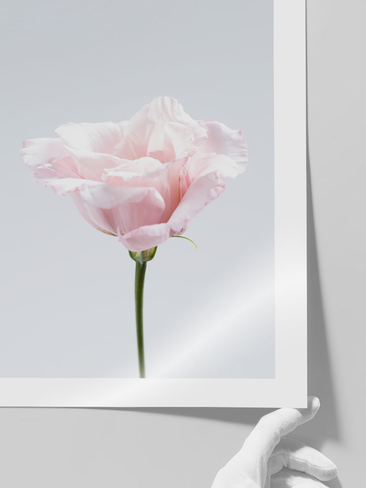 Pembe Çiçek N2 - Art Print  Poster