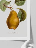 Armut - Art Print