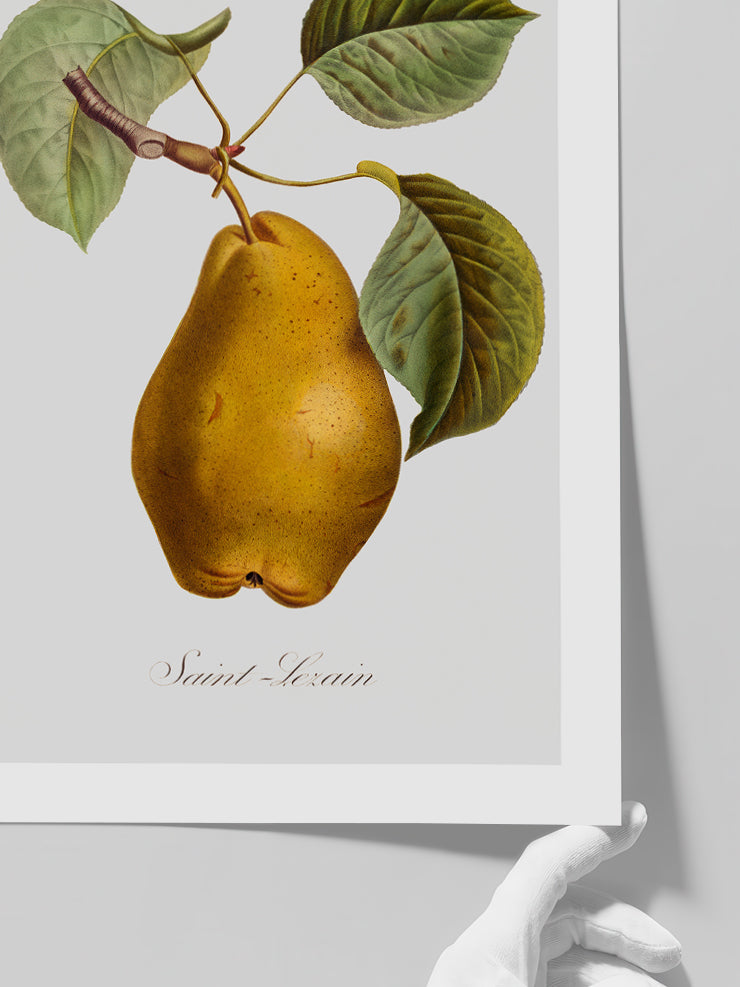 Armut - Art Print