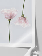 Duo De Fleurs - Art Print