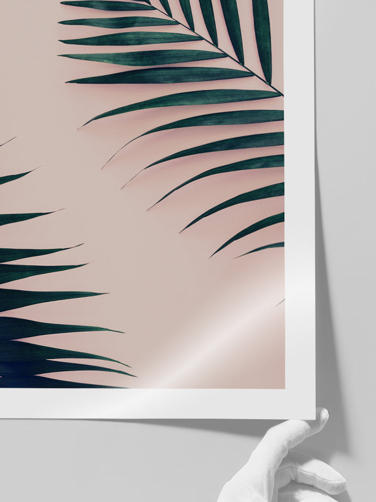 Palmiye N1 - Art Print