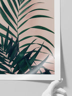 Palmiye N2 - Art Print
