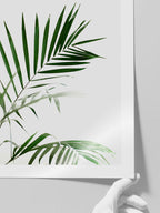 Elegance N2 - Art Print