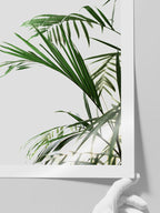 Elegance N1 - Art Print