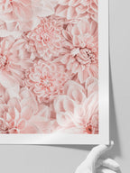 Kasımpatı - Art Print