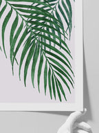 Palmiye Ağacı Yaprakları N1 - Art Print