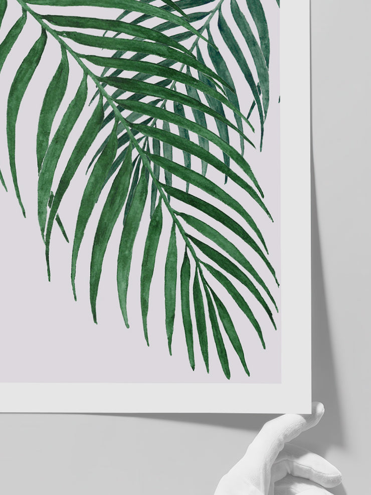 Palmiye Ağacı Yaprakları N1 - Art Print