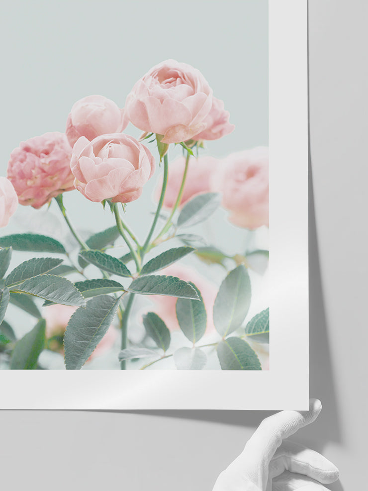 Gül Bahçesi - Art Print