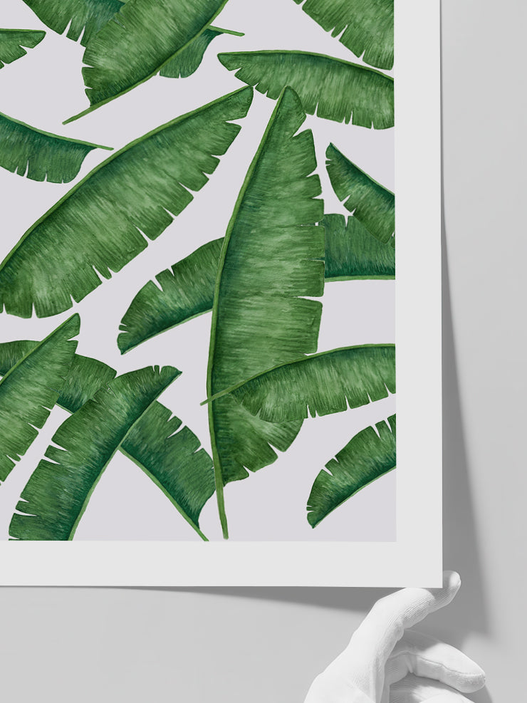 Palmiye Ağacı Yaprakları - Art Print