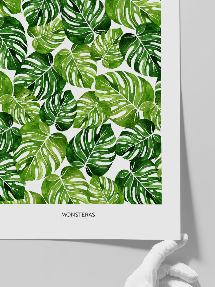 Palmiye Ağacı Yaprakları N2  - Art Print